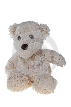 Teddy bear, isolated on white