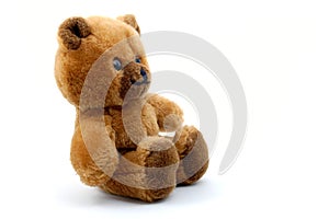 Teddy bear isolated on white background