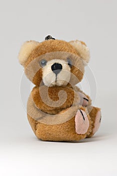 Teddy Bear Keyring