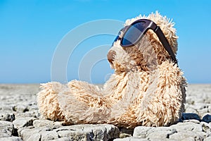 Teddy bear in landscape with dry cracked ground