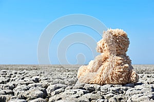 Teddy bear in landscape with dry cracked ground