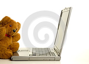 Teddy bear with laptop