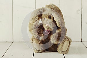 Teddy Bear Like Home Made Bunny Rabbit on Wooden White Background