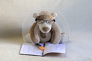 Teddy bear looking at notebook