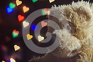 A teddy bear looks playfully at the camera against a background of colorful bokeh in the shape of hearts