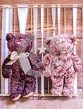 Teddy bear in love