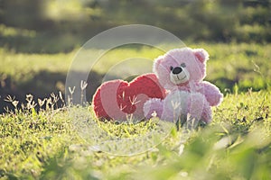 Teddy Bear with love red heart, Toy sitting on green grass with sunrise background. A red heart lovely pillow on the side. Valenti