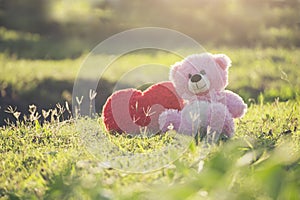 Teddy Bear with love red heart, Toy sitting on green grass with sunrise background. A red heart lovely pillow on the side. Valenti