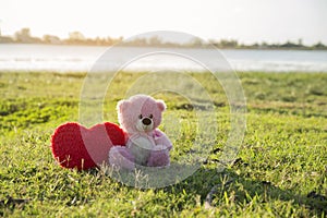 Teddy Bear with love red heart, Toy sitting on green grass with sunrise background. A red heart lovely pillow on the side. Valenti