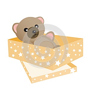 Teddy Bear lying in the golden box