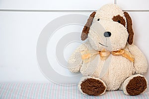 Teddy Bear lying on white background.