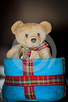 Teddy bear the mighty toy