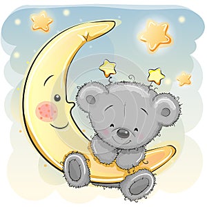 Teddy Bear on the moon