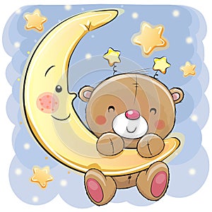 Teddy Bear on the moon