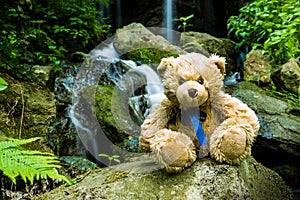 Teddy bear near cascade falls over mossy rocks