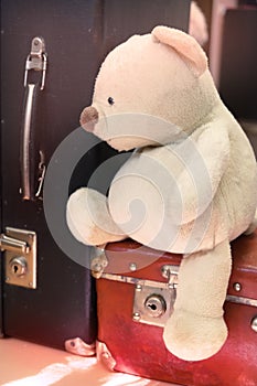 Teddy bear on old retro suitcase