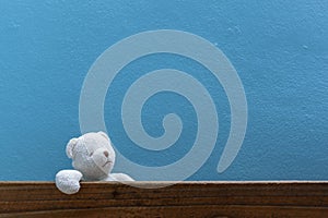 Teddy bear on old wood in front blue wall background