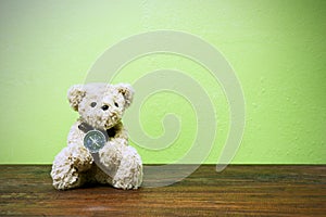 Teddy bear on old wood in front green background.