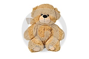 Teddy bear with patches