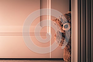 Teddy bear peeking out of the door