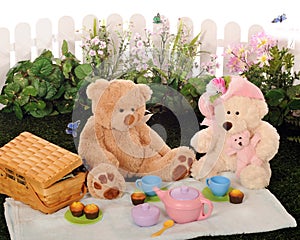 Teddy Bear Picnic