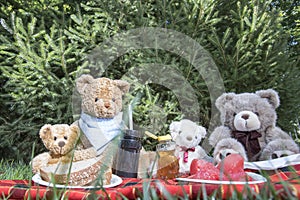 Teddy Bear Picnic Day