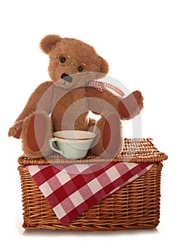 Teddy bear picnic tea party