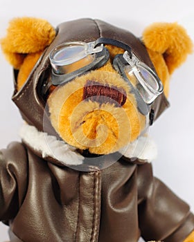 Teddy Bear Pilot