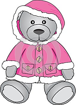 Teddy bear in pink coat