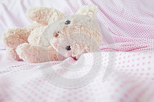 Teddy bear with pink pillow on bed