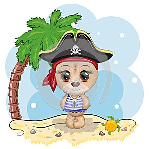 Teddy bear pirate, cartoon character of the game, wild animal in a bandana and a cocked hat with a skull, with an eye