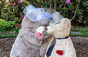 Teddy bear portrait first kiss