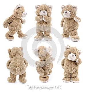 Teddy bear positions