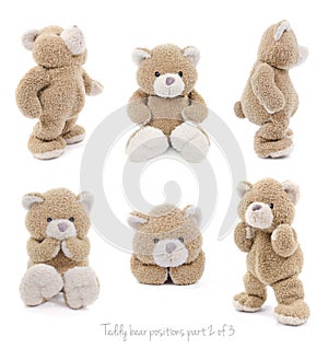 Teddy bear positions photo