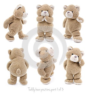 Teddy bear positions photo
