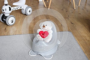 Teddy bear on a potty. Pot for children. Role play potty training