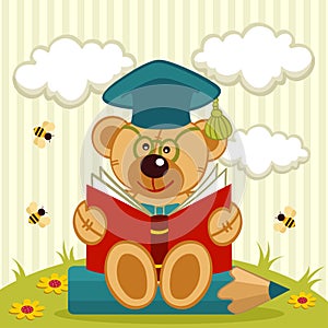 Teddy bear professor