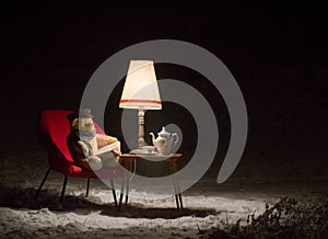 Teddy bear read a book outside in a winter night - surreal scene