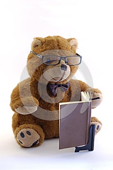 Teddy bear reading