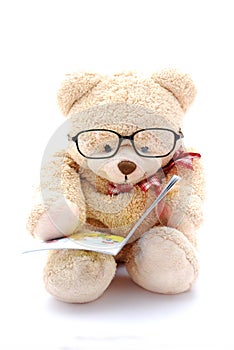 Medveď čítanie 