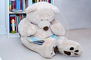 Teddy bear reading a book