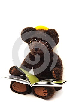 Teddy Bear Reading a Book