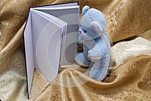 A teddy bear reading a book