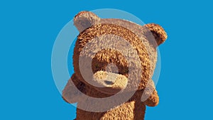 Teddy Bear Real Fur Attack Combat Blue Screen 3D Renderings Animations