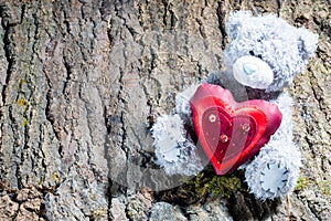 teddy bear with a red heart on the bark of a tree with moss