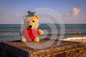 Teddy Bear with red heart sitting near the beach