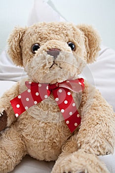 Teddy bear with red polka dot ribbon