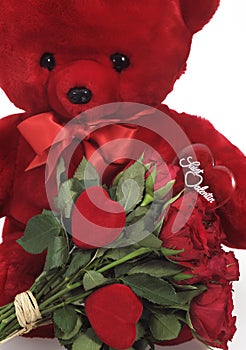 Teddy Bear and Red Roses for Saint Valentine`s Day