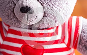 Teddy bear in red t-shitr