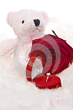 Teddy bear with ring and red rose